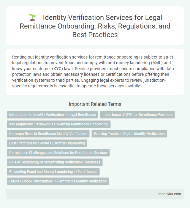 Identity Verification Services for Legal Remittance Onboarding: Risks, Regulations, and Best Practices