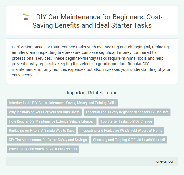 DIY Car Maintenance for Beginners: Cost-Saving Benefits and Ideal Starter Tasks