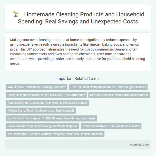 Homemade Cleaning Products and Household Spending: Real Savings and Unexpected Costs