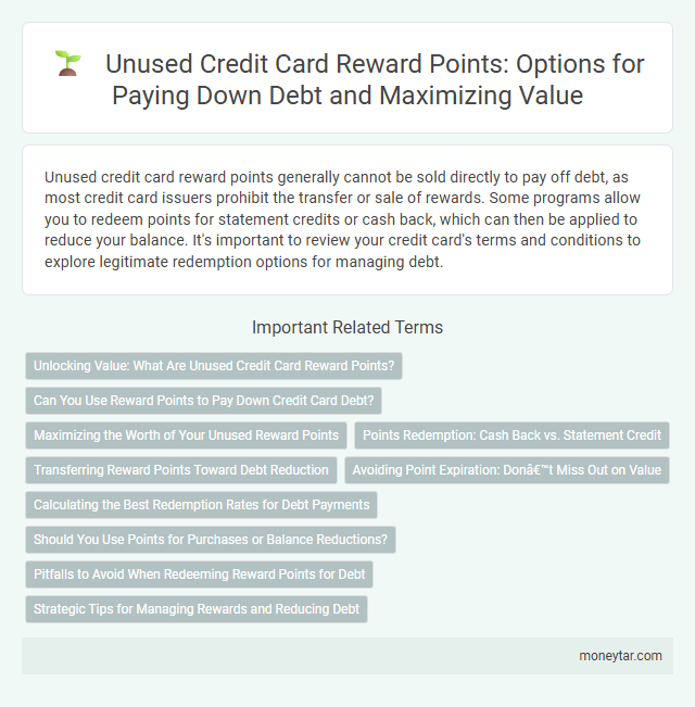 Unused Credit Card Reward Points: Options for Paying Down Debt and Maximizing Value