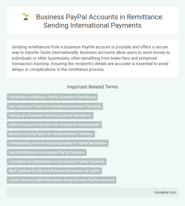 Business PayPal Accounts in Remittance: Sending International Payments