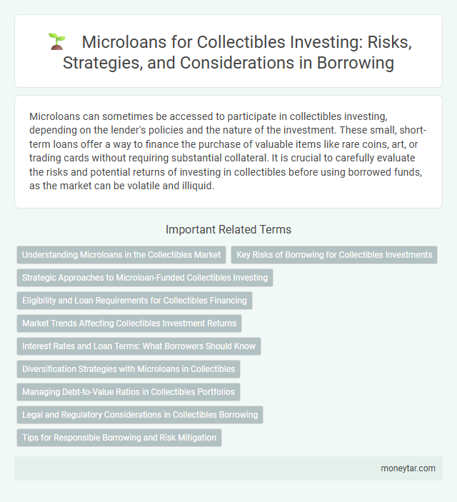 Microloans for Collectibles Investing: Risks, Strategies, and Considerations in Borrowing