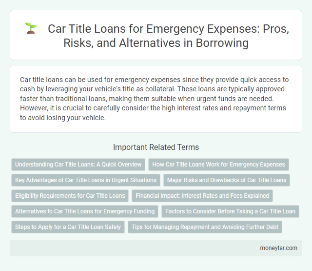 Car Title Loans for Emergency Expenses: Pros, Risks, and Alternatives in Borrowing