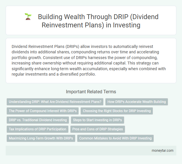 Building Wealth Through DRIP (Dividend Reinvestment Plans) in Investing