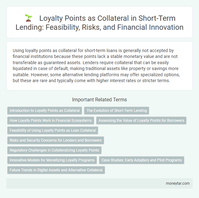 Loyalty Points as Collateral in Short-Term Lending: Feasibility, Risks, and Financial Innovation
