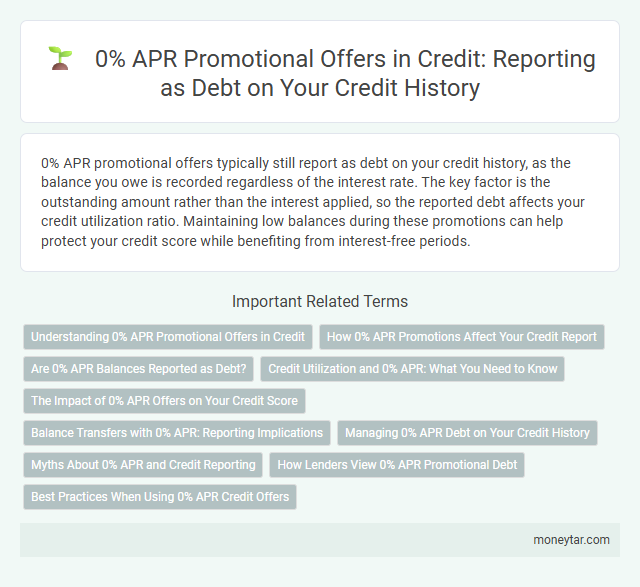 0% APR Promotional Offers in Credit: Reporting as Debt on Your Credit History