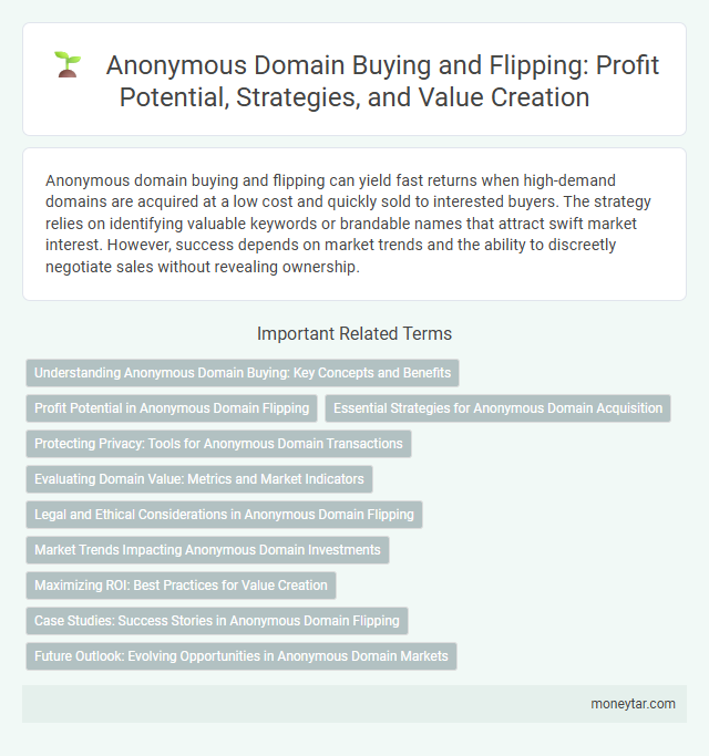 Anonymous Domain Buying and Flipping: Profit Potential, Strategies, and Value Creation