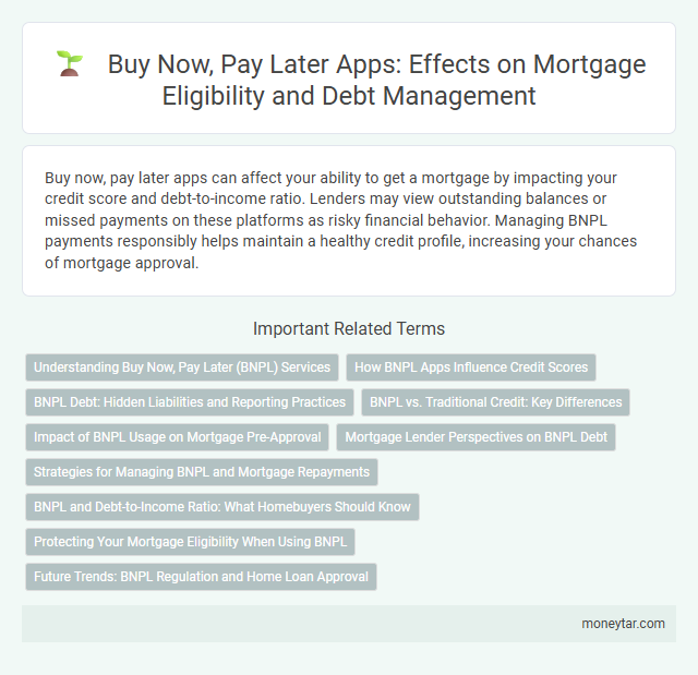 Buy Now, Pay Later Apps: Effects on Mortgage Eligibility and Debt Management