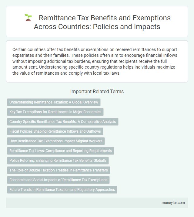 Remittance Tax Benefits and Exemptions Across Countries: Policies and Impacts