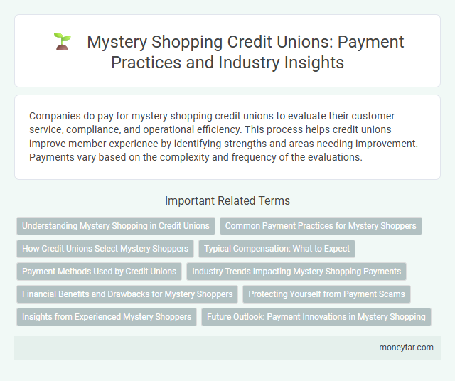 Mystery Shopping Credit Unions: Payment Practices and Industry Insights