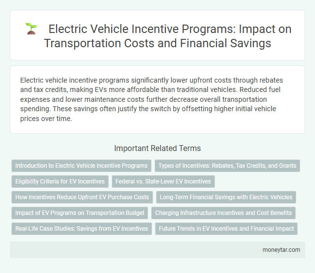 Electric Vehicle Incentive Programs: Impact on Transportation Costs and Financial Savings