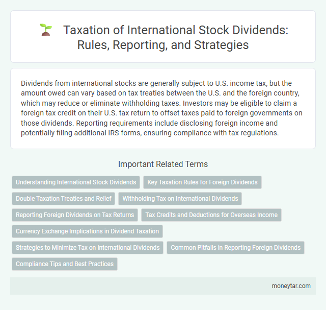 Taxation of International Stock Dividends: Rules, Reporting, and Strategies