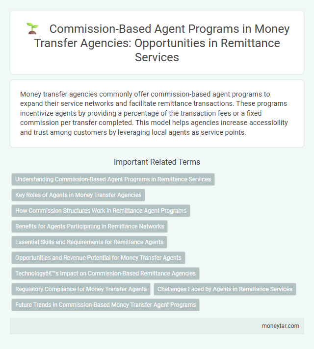 Commission-Based Agent Programs in Money Transfer Agencies: Opportunities in Remittance Services