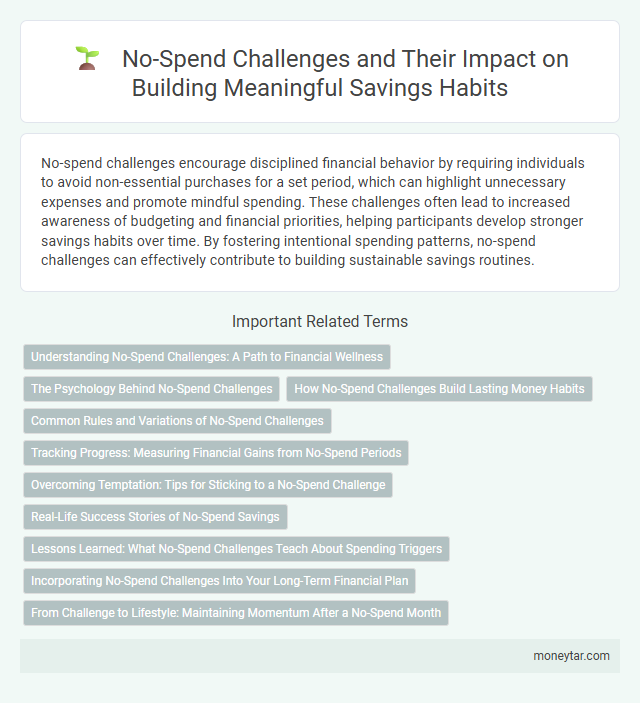 No-Spend Challenges and Their Impact on Building Meaningful Savings Habits