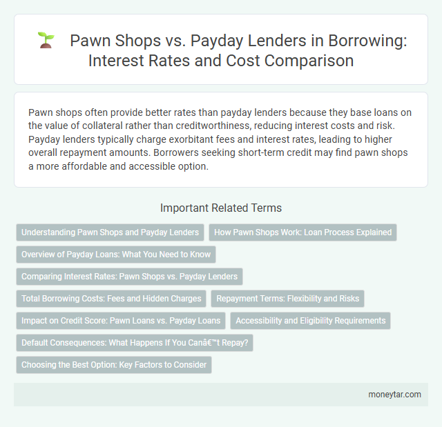 Pawn Shops vs. Payday Lenders in Borrowing: Interest Rates and Cost Comparison