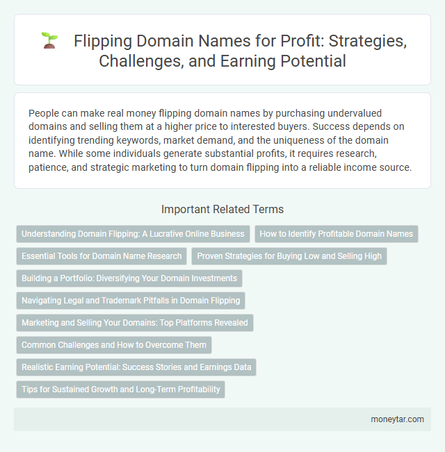 Flipping Domain Names for Profit: Strategies, Challenges, and Earning Potential