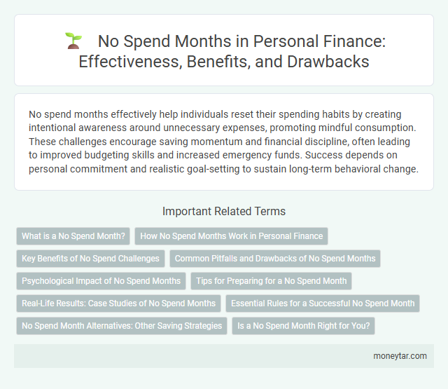 No Spend Months in Personal Finance: Effectiveness, Benefits, and Drawbacks