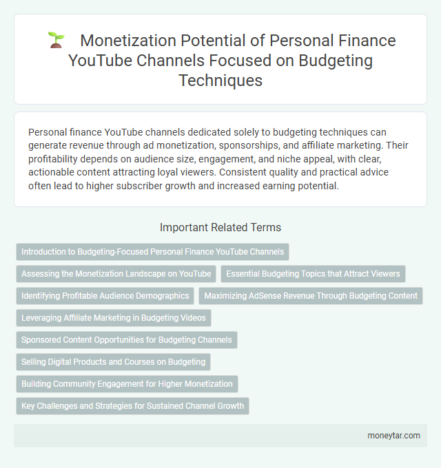 Monetization Potential of Personal Finance YouTube Channels Focused on Budgeting Techniques