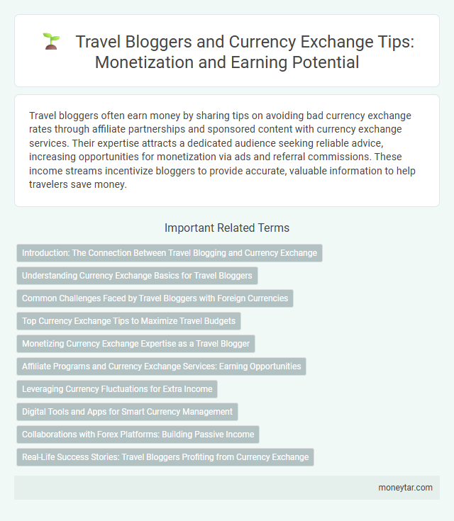 Travel Bloggers and Currency Exchange Tips: Monetization and Earning Potential