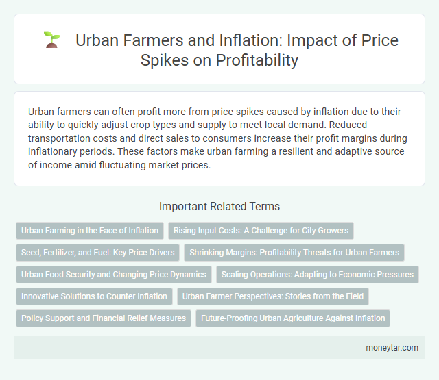 Urban Farmers and Inflation: Impact of Price Spikes on Profitability