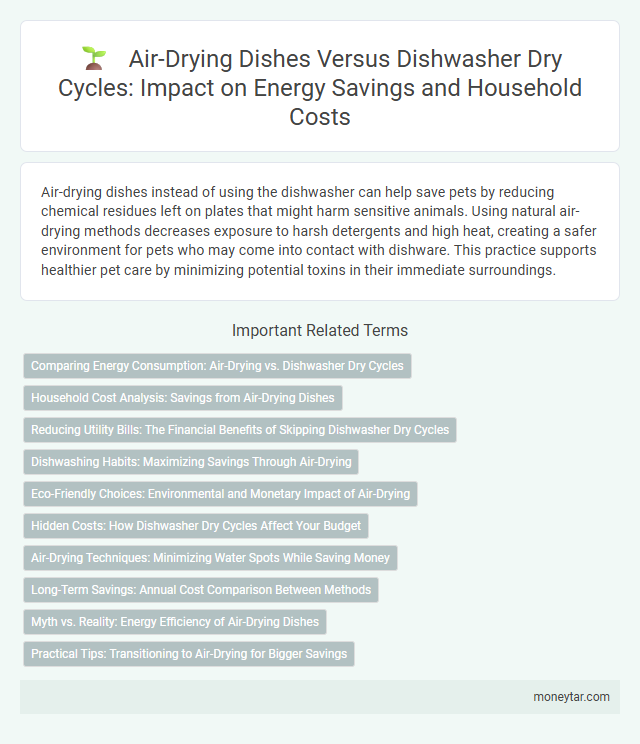 Air-Drying Dishes Versus Dishwasher Dry Cycles: Impact on Energy Savings and Household Costs