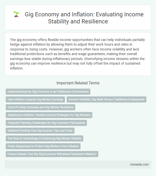 Gig Economy and Inflation: Evaluating Income Stability and Resilience