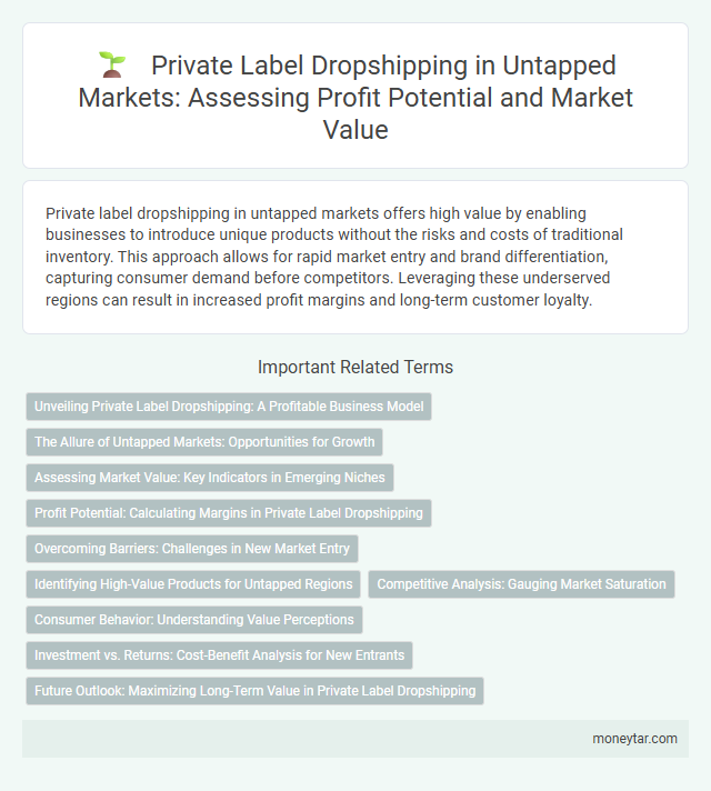 Private Label Dropshipping in Untapped Markets: Assessing Profit Potential and Market Value