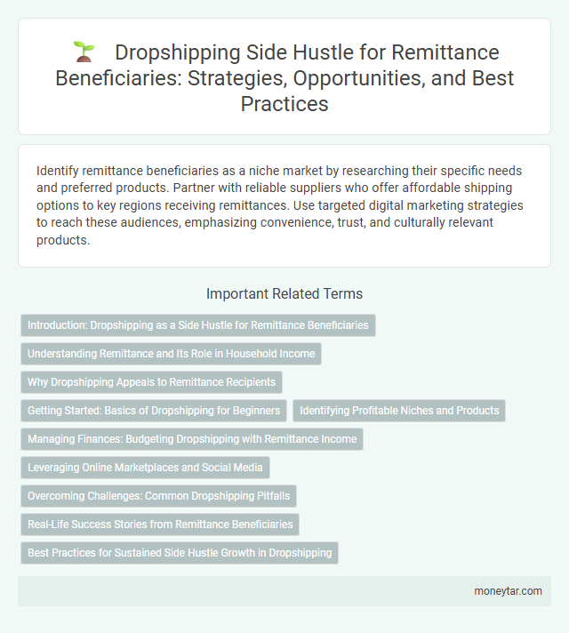 Dropshipping Side Hustle for Remittance Beneficiaries: Strategies, Opportunities, and Best Practices
