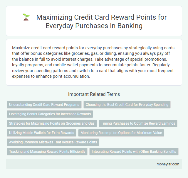Maximizing Credit Card Reward Points for Everyday Purchases in Banking