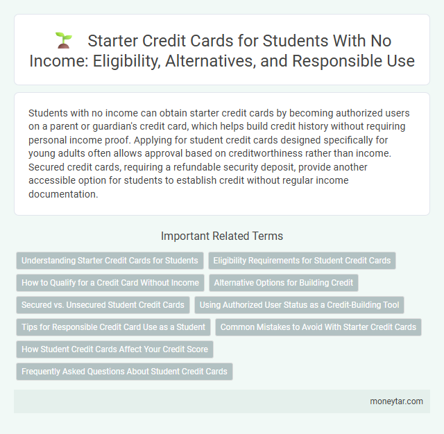 Starter Credit Cards for Students With No Income: Eligibility, Alternatives, and Responsible Use