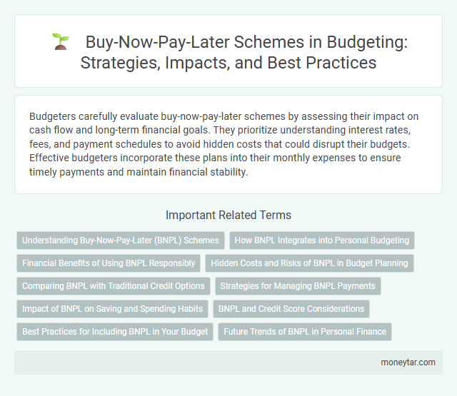 Buy-Now-Pay-Later Schemes in Budgeting: Strategies, Impacts, and Best Practices
