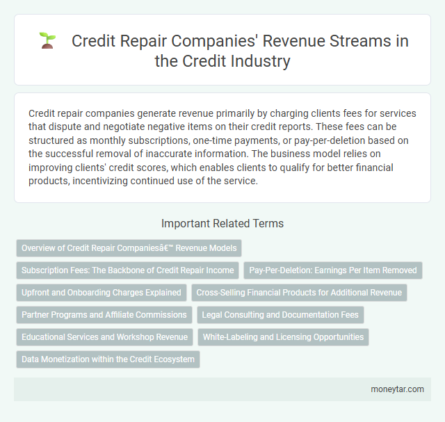 Credit Repair Companies' Revenue Streams in the Credit Industry