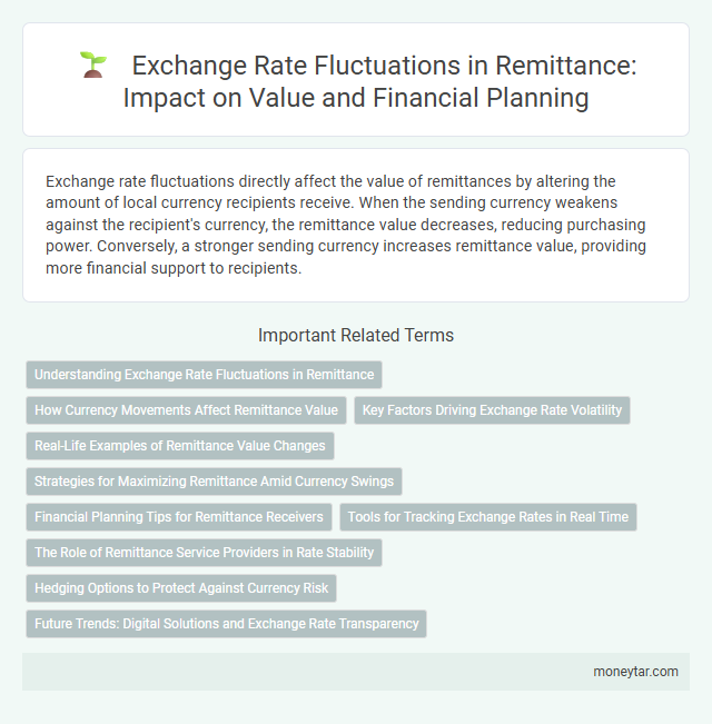 Exchange Rate Fluctuations in Remittance: Impact on Value and Financial Planning