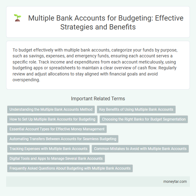 Multiple Bank Accounts for Budgeting: Effective Strategies and Benefits