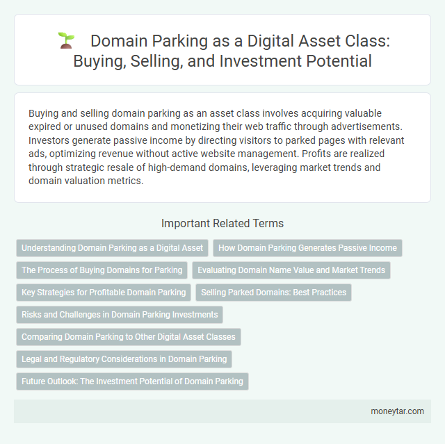Domain Parking as a Digital Asset Class: Buying, Selling, and Investment Potential