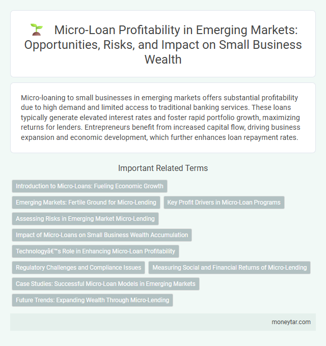 Micro-Loan Profitability in Emerging Markets: Opportunities, Risks, and Impact on Small Business Wealth
