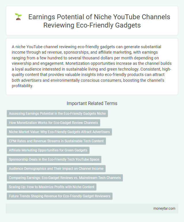 Earnings Potential of Niche YouTube Channels Reviewing Eco-Friendly Gadgets