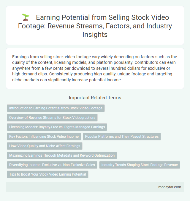 Earning Potential from Selling Stock Video Footage: Revenue Streams, Factors, and Industry Insights