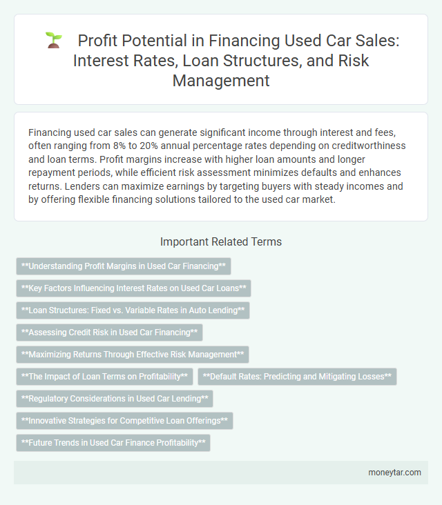 Profit Potential in Financing Used Car Sales: Interest Rates, Loan Structures, and Risk Management