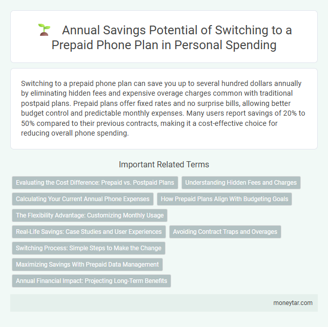 Annual Savings Potential of Switching to a Prepaid Phone Plan in Personal Spending