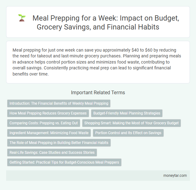 Meal Prepping for a Week: Impact on Budget, Grocery Savings, and Financial Habits