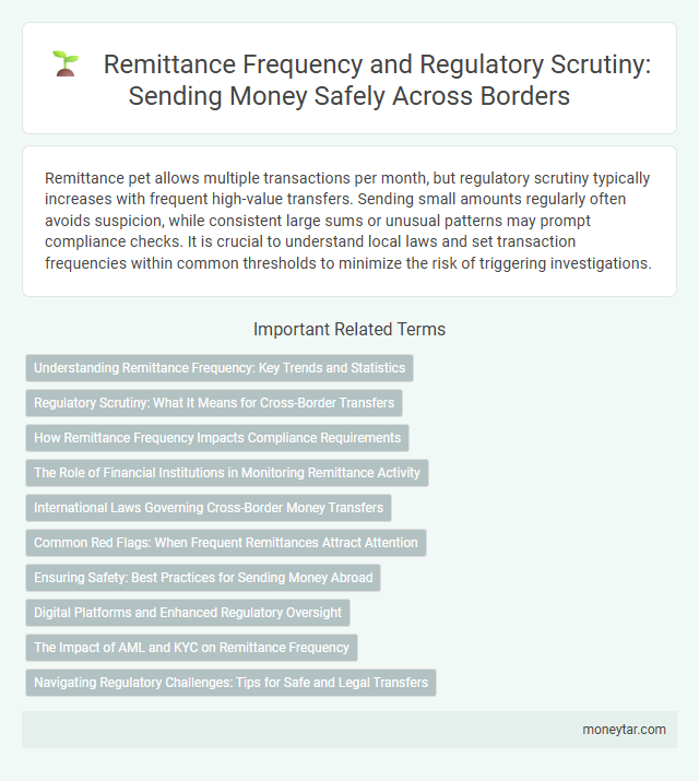 Remittance Frequency and Regulatory Scrutiny: Sending Money Safely Across Borders