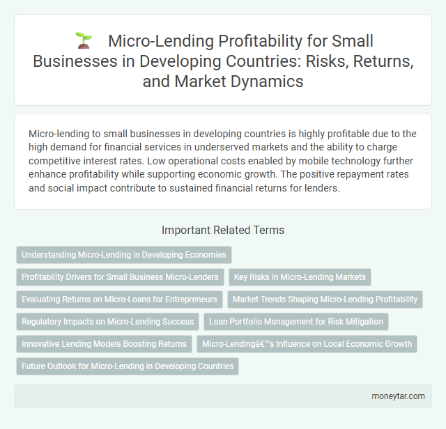 Micro-Lending Profitability for Small Businesses in Developing Countries: Risks, Returns, and Market Dynamics