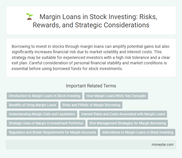 Margin Loans in Stock Investing: Risks, Rewards, and Strategic Considerations