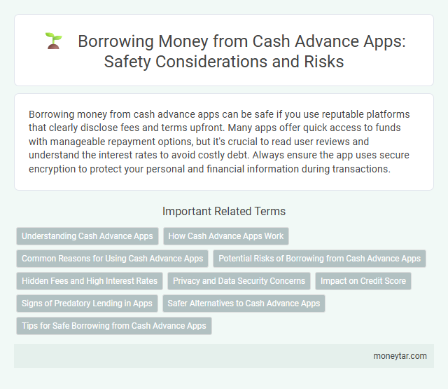 Borrowing Money from Cash Advance Apps: Safety Considerations and Risks