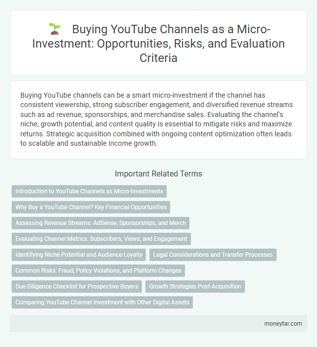 Buying YouTube Channels as a Micro-Investment: Opportunities, Risks, and Evaluation Criteria