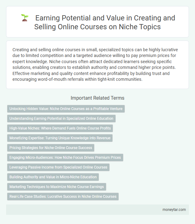 Earning Potential and Value in Creating and Selling Online Courses on Niche Topics