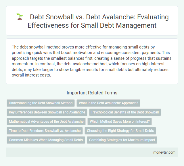 Debt Snowball vs. Debt Avalanche: Evaluating Effectiveness for Small Debt Management