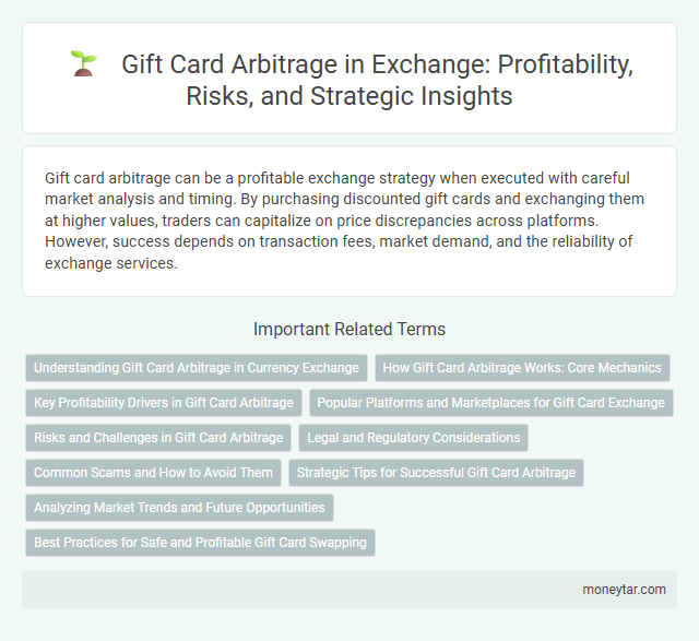 Gift Card Arbitrage in Exchange: Profitability, Risks, and Strategic Insights