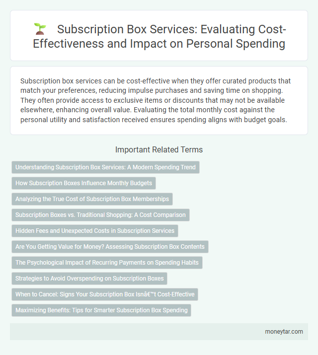 Subscription Box Services: Evaluating Cost-Effectiveness and Impact on Personal Spending